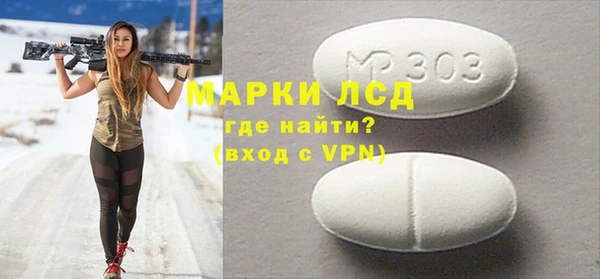 гашик Карпинск