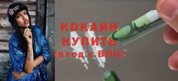 гидра Инсар