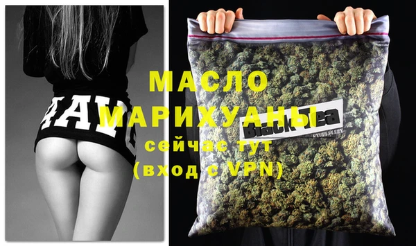 гидра Инсар