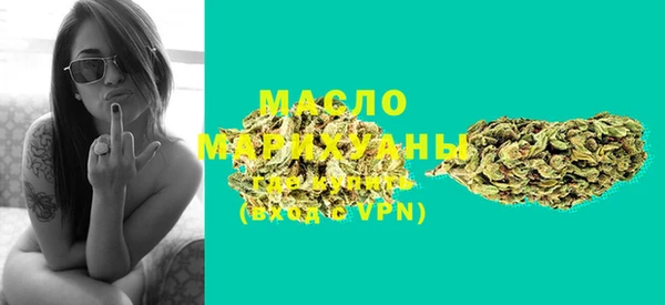 гидра Инсар