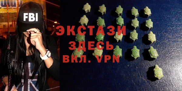 гашик Карпинск