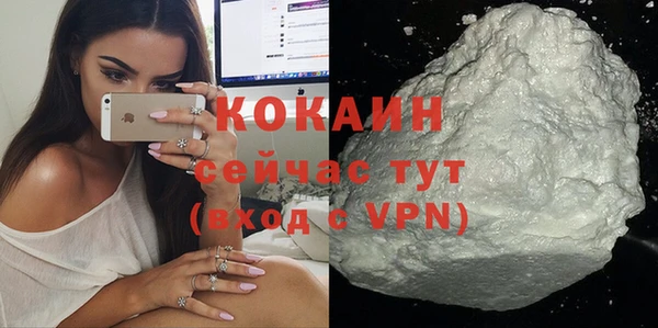 гидра Инсар