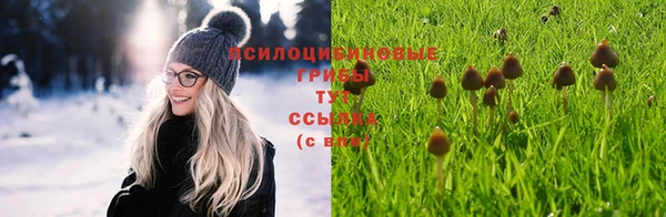 мяу мяу кристалл Иннополис
