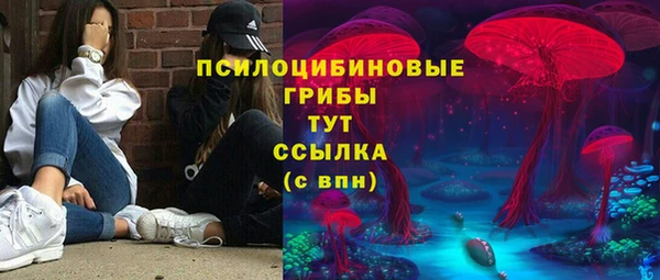 гашик Карталы