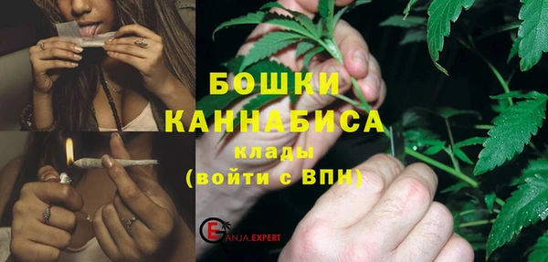 гидра Инсар