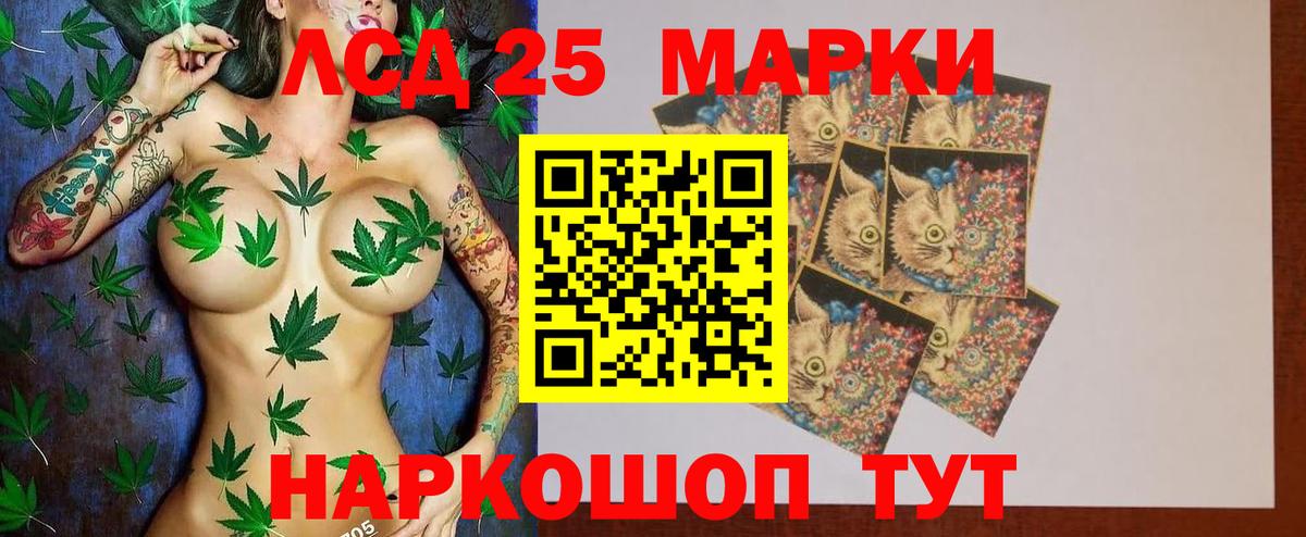 APVP Кстово