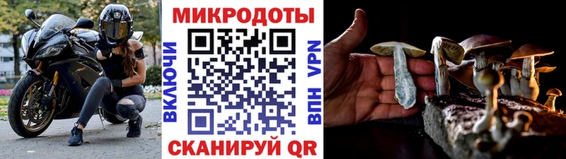 Галлюциногенные грибы Magic Shrooms Кстово