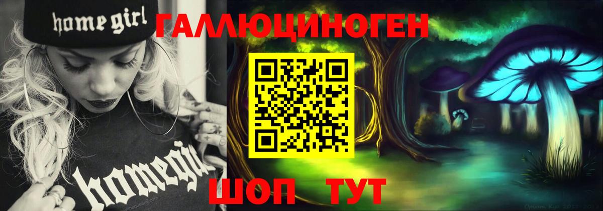 наркота  Псилоцибиновые грибы Psilocybine cubensis  Вход с VPN  Кстово  Псилоцибиновые грибы Magic Shrooms 